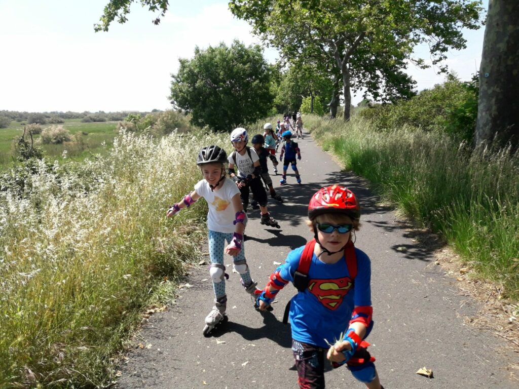 60419148_1121079048077543_265902305763655680_n